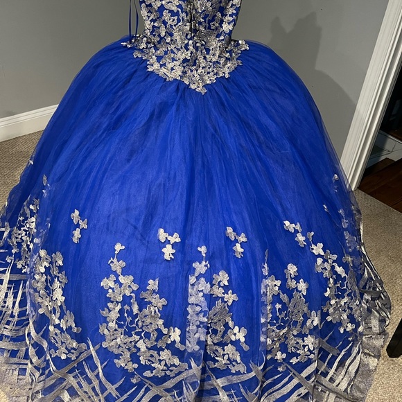 Quinceanera/Prom dress - Picture 1 of 10